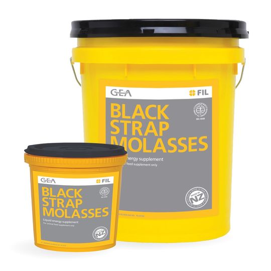 Black Strap Molasses