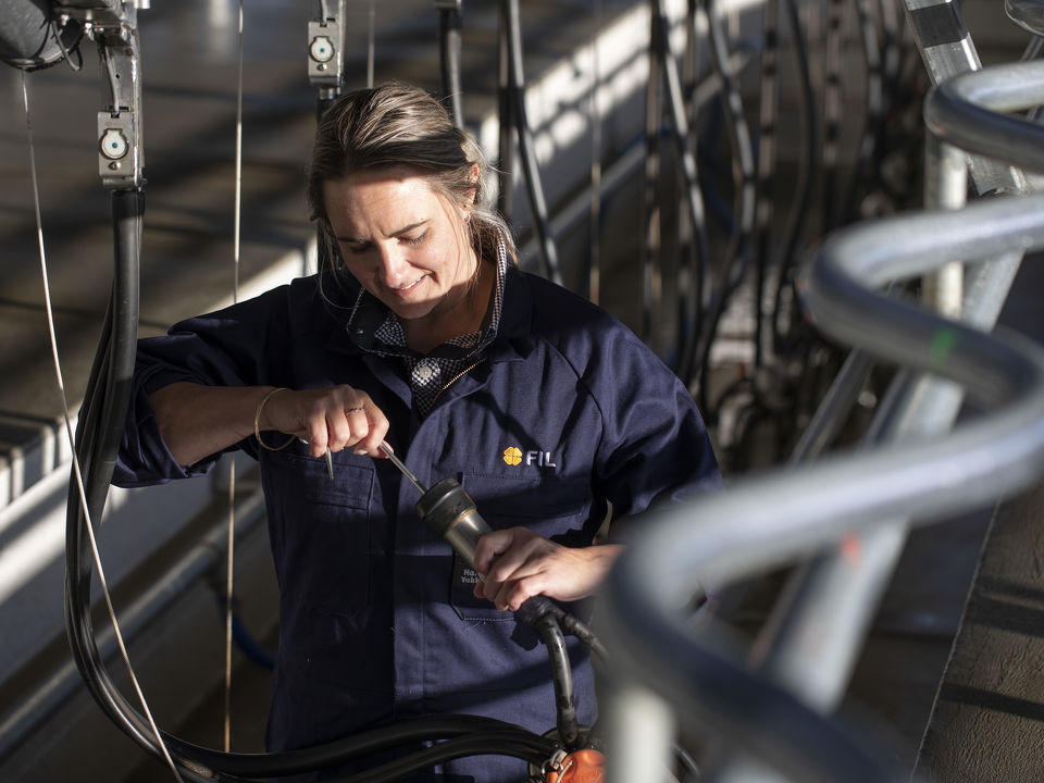 Milking plant start up