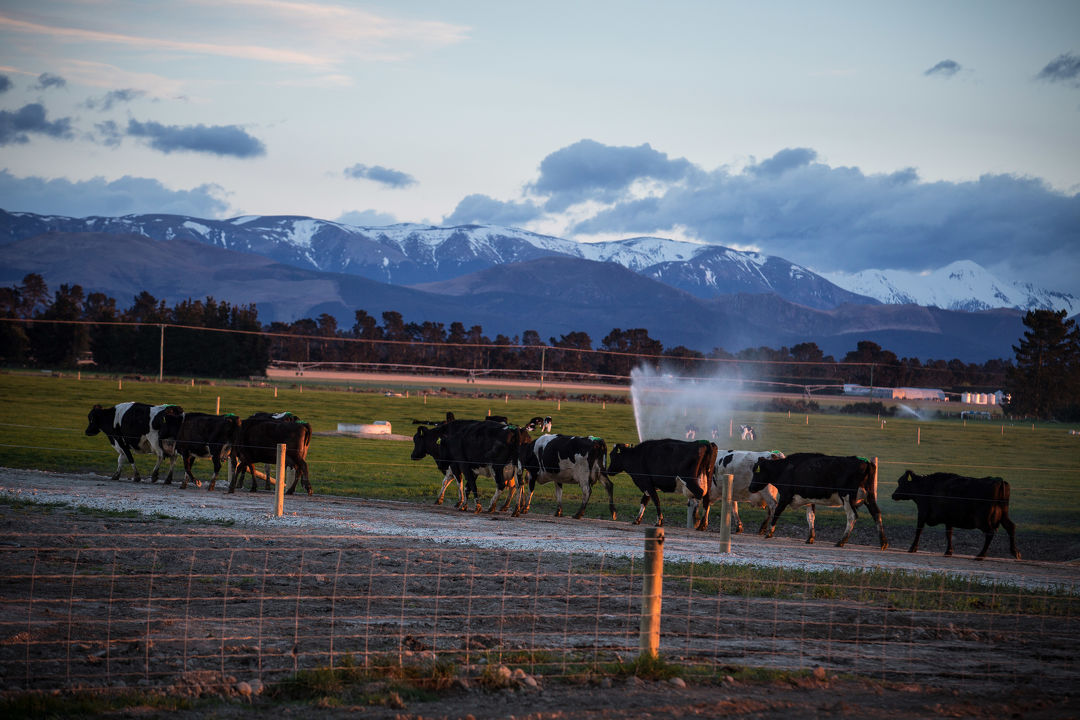 Mastitis Prevention Roadshow