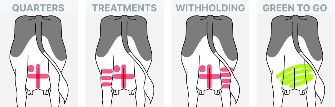 Udder marking systems