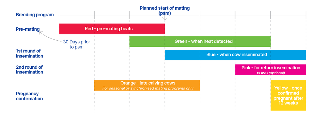 Tips for using tail paint during mating