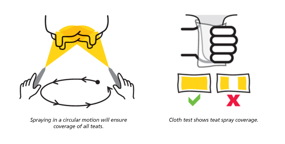 Udder health tips for early lactation